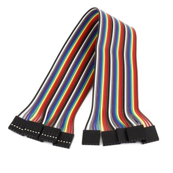 6 pin Dişi Dişi Jumper Kablo 20cm