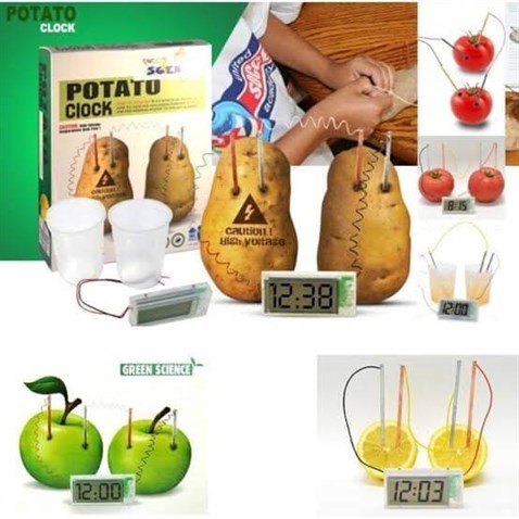 Patates Saati Deney Kiti