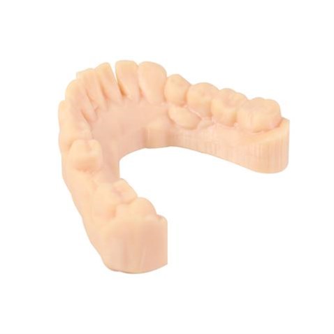 Wanhao Dental Model Resin Diş Model Reçinesi 0.5Kg