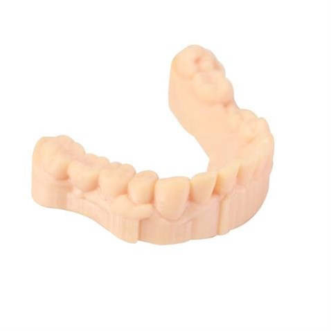 Wanhao Dental Model Resin Diş Model Reçinesi 0.5Kg