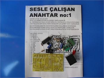 Sesle Çalışan Anahtar